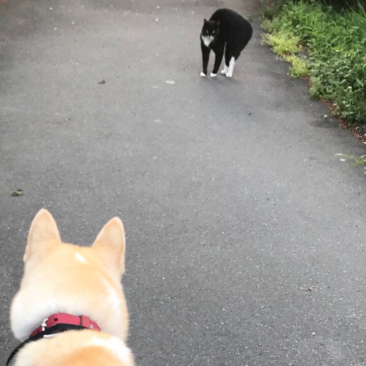 9fcac02f 4e24 4bb6 9a89 9b7b7bd9c8e7 1523523138847