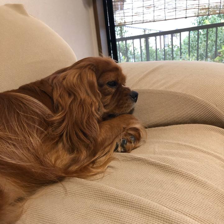 9fcb1002 b67c 4399 800f 1ce6fad29853 1600295210944