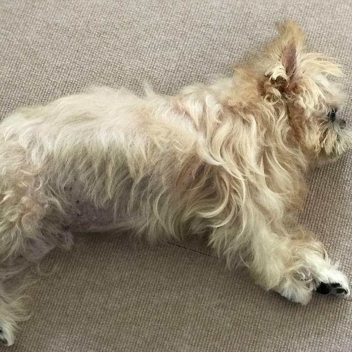 9fcb2afa 07c2 4907 aed8 94f947b2d7f2 1600392293486