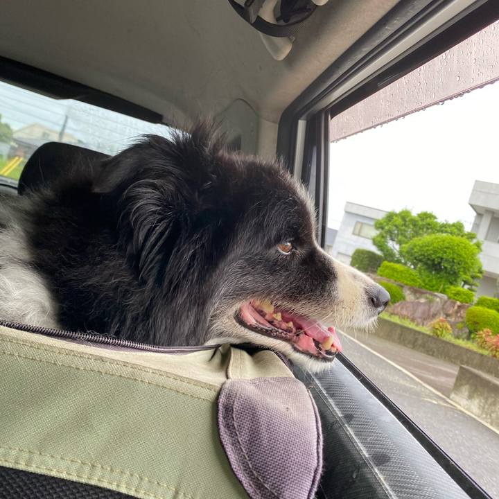 9fcb319c 9dfa 4558 b604 faac045df68a 1693605850788