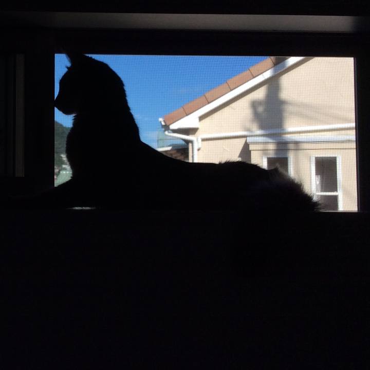 9fcb47d9 d55c 4883 842d b0b302c2d74c 1565217848920