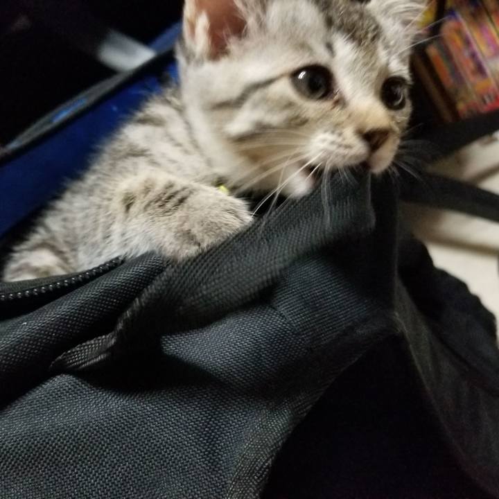 9fcb5be0 57d4 4d8f b83a a95e65f2bf05 1662725475665