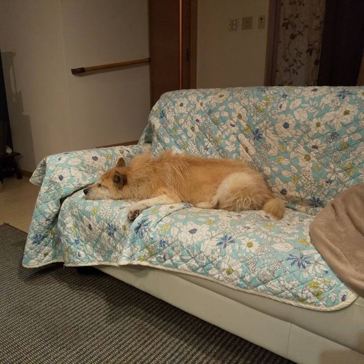 9fcb95da 201c 4af7 a233 ed75e950345d 1551521808250