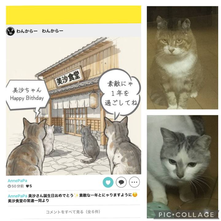 9fcbbf9d 9e26 4507 9b1f 806e42c4c7d3 1764199922432