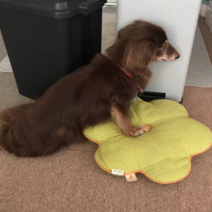 9fcbcbdc b51b 4688 8349 13db5f1ae08a 1598052721063