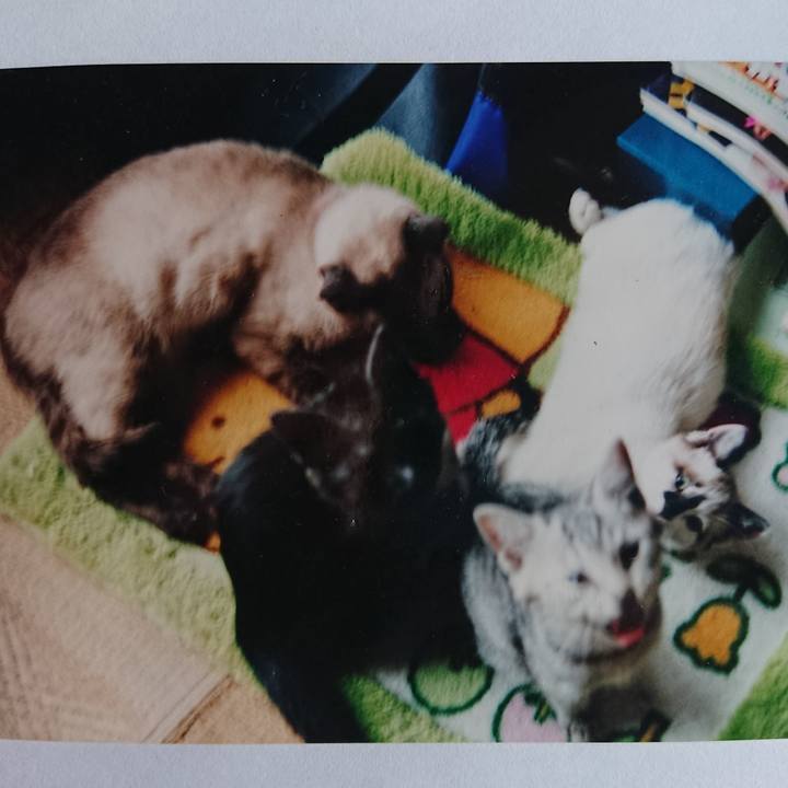 9fcbefcd 3871 485d 8064 b972e1b75a4b 1600286211370