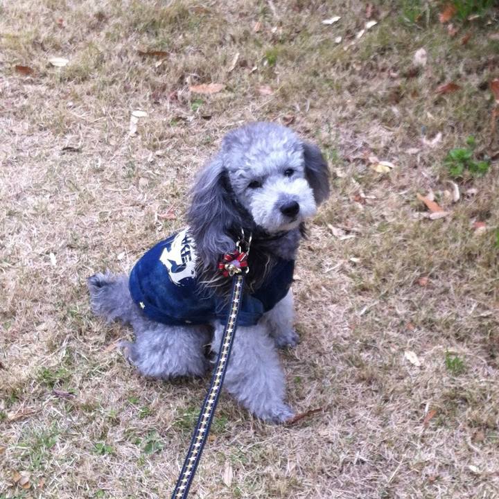 9fcc246f b339 4aa5 ba6e 10291ab315f6 1767105926888