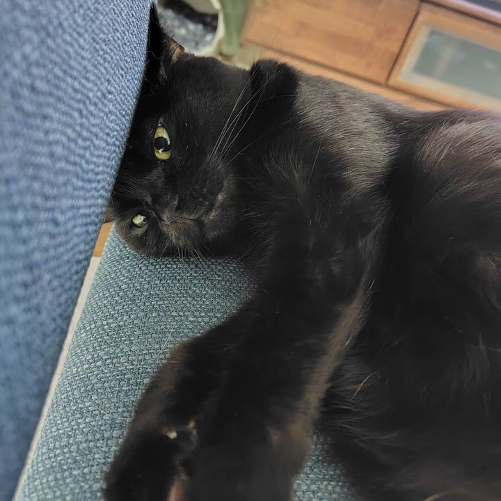 9fcc34b5 4673 4b6e be7a 33697460405a 1723375299821