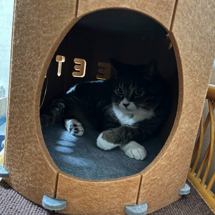 9fcc4262 f8b7 4c53 ad66 33b4c735f1fb 1773360272274