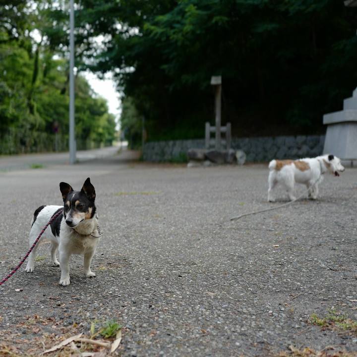 9fcc5632 8c8c 465b 8123 c294cf94632b 1531716204017