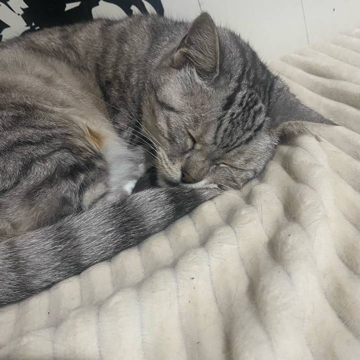 9fcc5f21 c290 4aae 9fd9 11905d455972 1716751981666