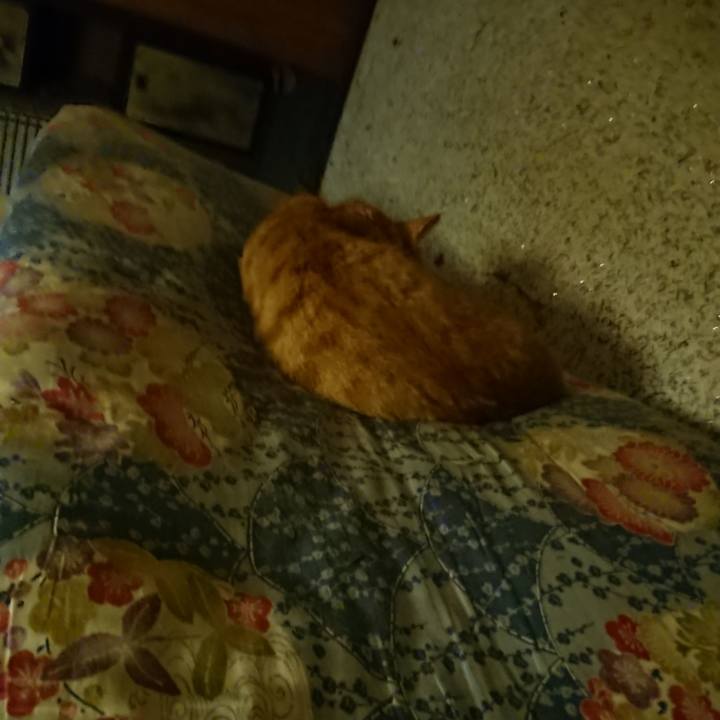 9fcc7370 91a3 4325 9df0 5b9e832bd60e 1600085801851