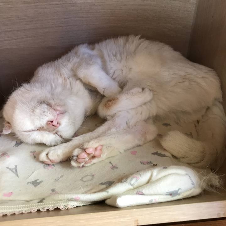 9fcc9fdf c870 4677 8585 08db35270f85 1570926241387