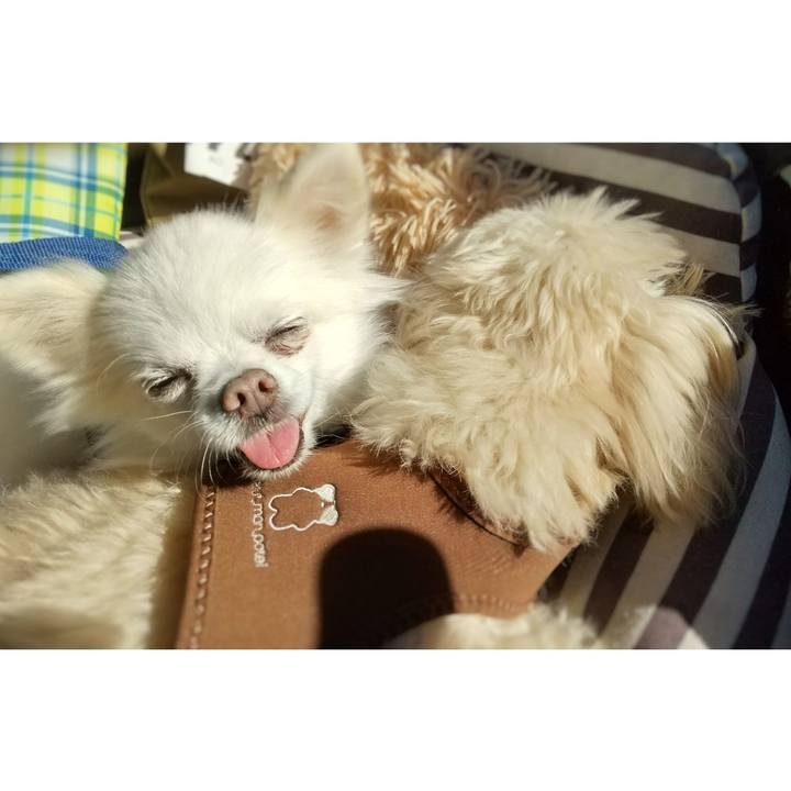 9fccc4d6 a256 43b5 a286 b127201fb16a 1679215989986