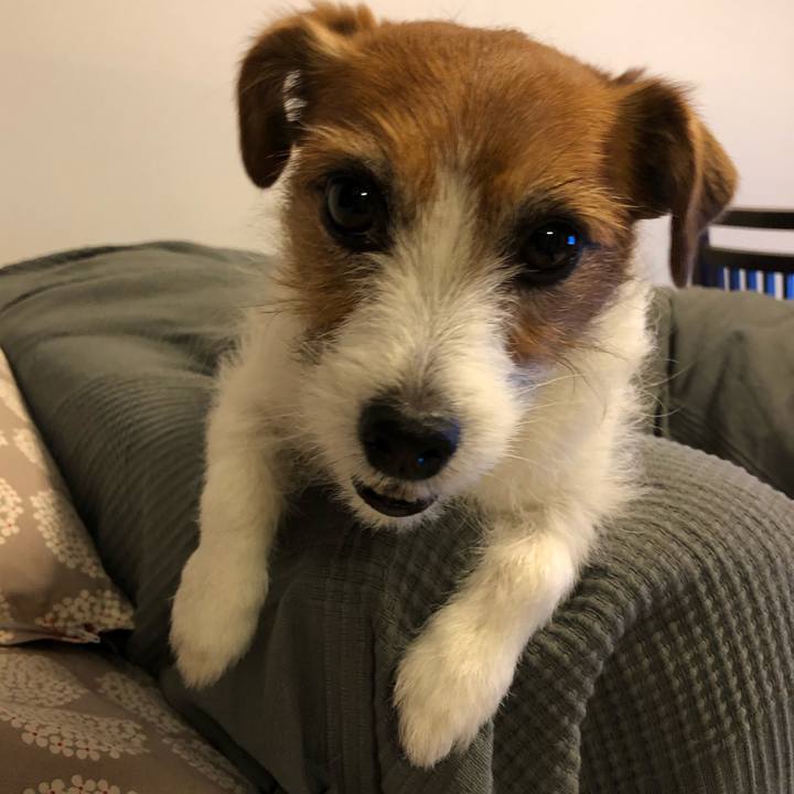 9fcccde8 d7ff 4c7d b2a5 f6d92642e8eb 1589062720828