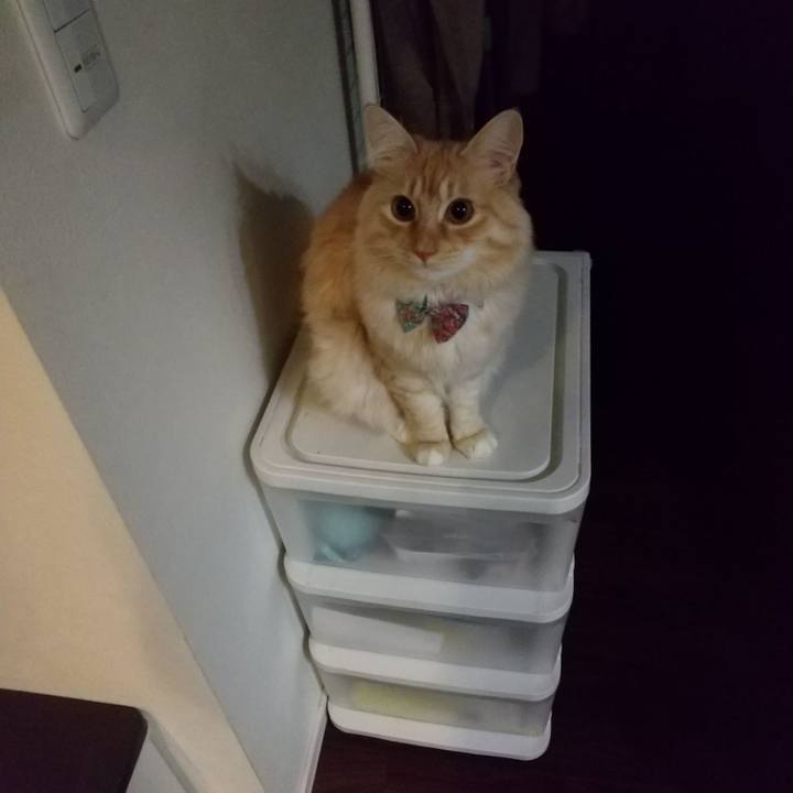 9fccee97 6e9a 4d94 9457 ec810b1a3bfd 1642628210573