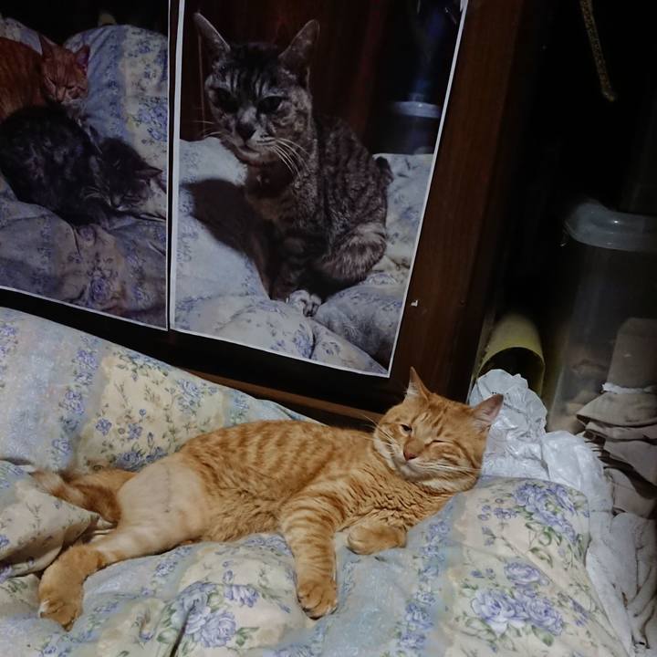 9fcd31f2 2f89 4317 91ed 60ee8b090160 1656255208489