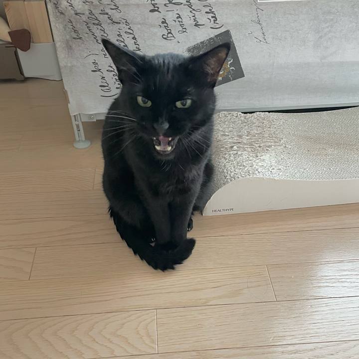 9fcd60d9 964f 491f 8125 6ecb4ec2f449 1703391843407