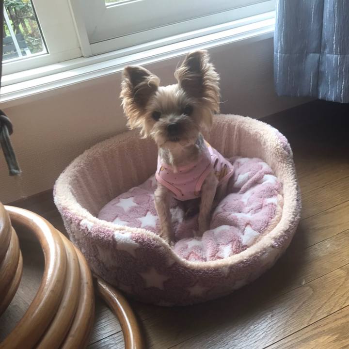 9fcd6429 5539 48f8 a0a6 d7dfb0d638fb 1604568818760