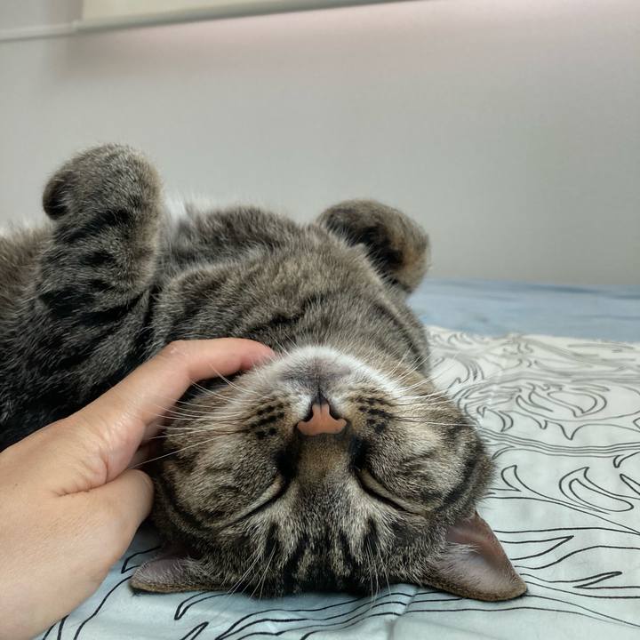 9fcd8780 949d 4423 b468 389fdefa76c4 1624233342428