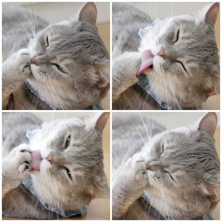 9fcd9a95 530c 4aea a36d 7eb8ea757bbb 1664251894790