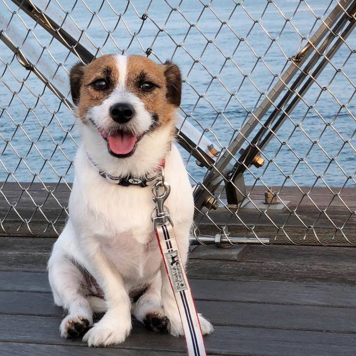 9fcdb4f5 2e7c 4d65 8cc1 96a2b70ccde2 1537187068711