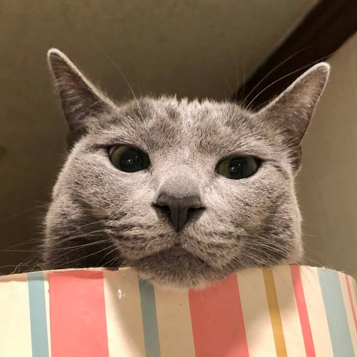 9fcdd426 f663 4bac 81fe aea28aaabd5d 1614930711619