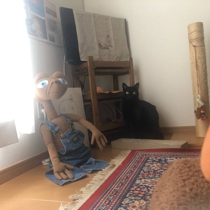 9fcdfd58 044d 468a adc6 f410fe470875 1554593418567