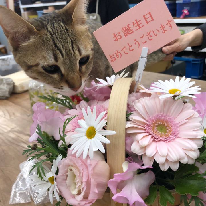 9fce0b03 8f31 4f0e b1e8 dbabae16b710 1647090460147