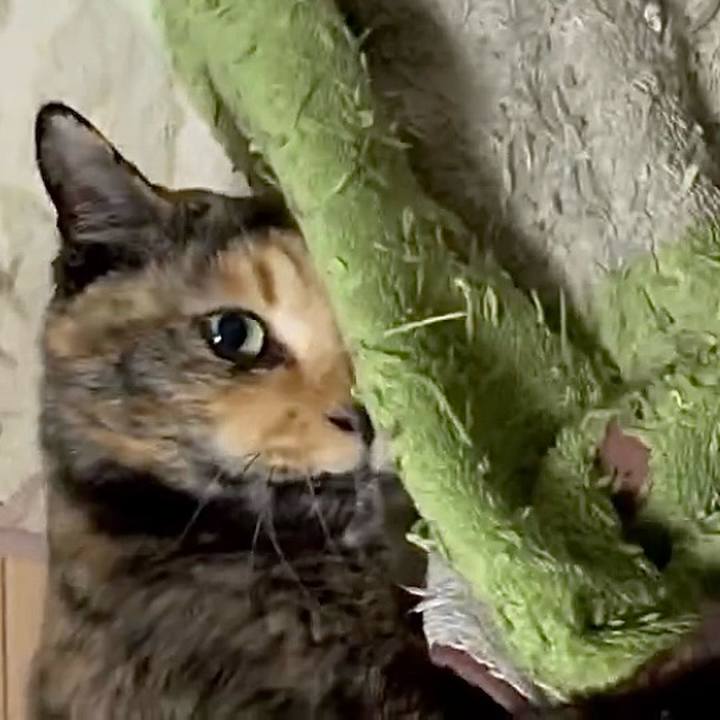 9fce1fcc 4294 47fc 94c7 8f0f9796220b 1772052381255