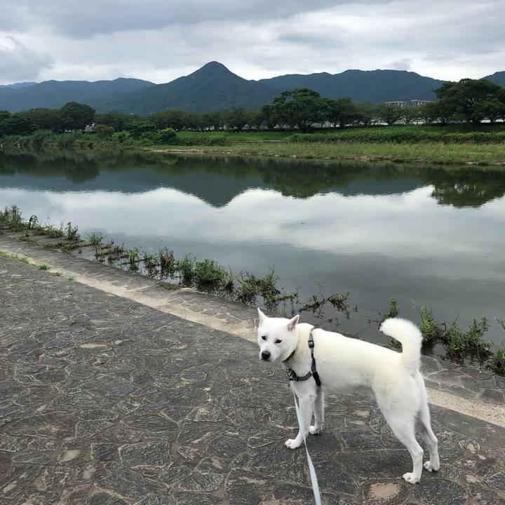 9fce5c99 386e 4d64 bce8 219f663c6d6b 1595388996411