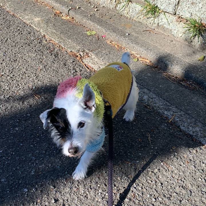 9fce629d 9548 4c7b 9ede 463d22e3168f 1738716564205