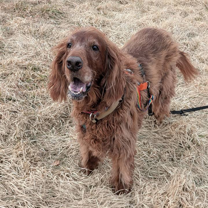 9fce72ab d9b9 4ffb a10d 8bbe89bba13f 1772008941886