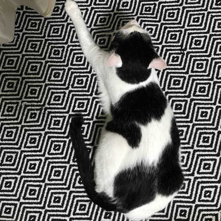 9fcebb6a 9244 42f0 80eb 922d847373f9 1532529231839