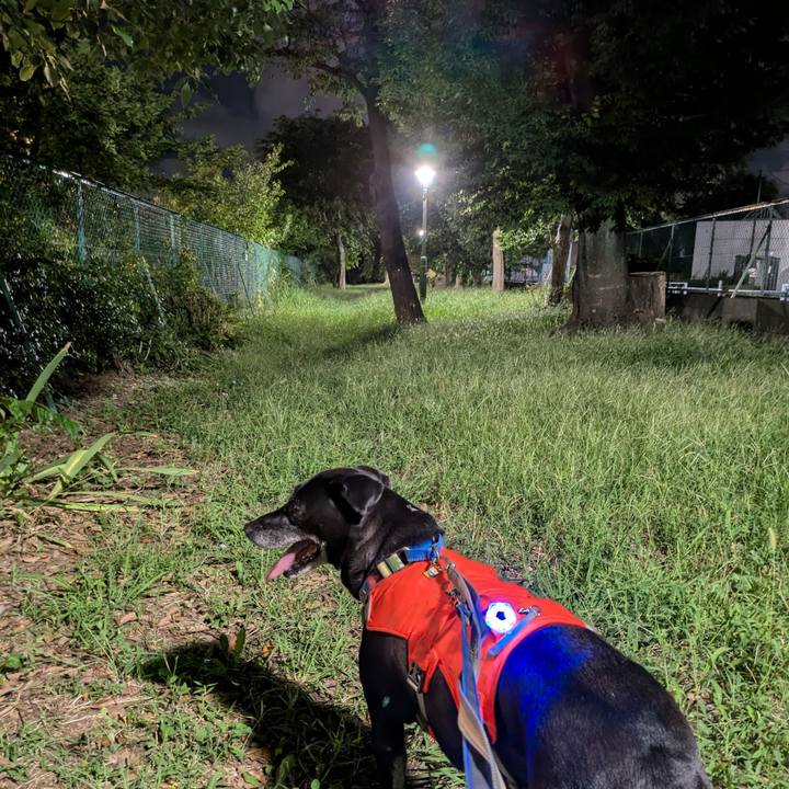 9fcebfea ecb1 4bab b753 4c9189b6634e 1724669878003