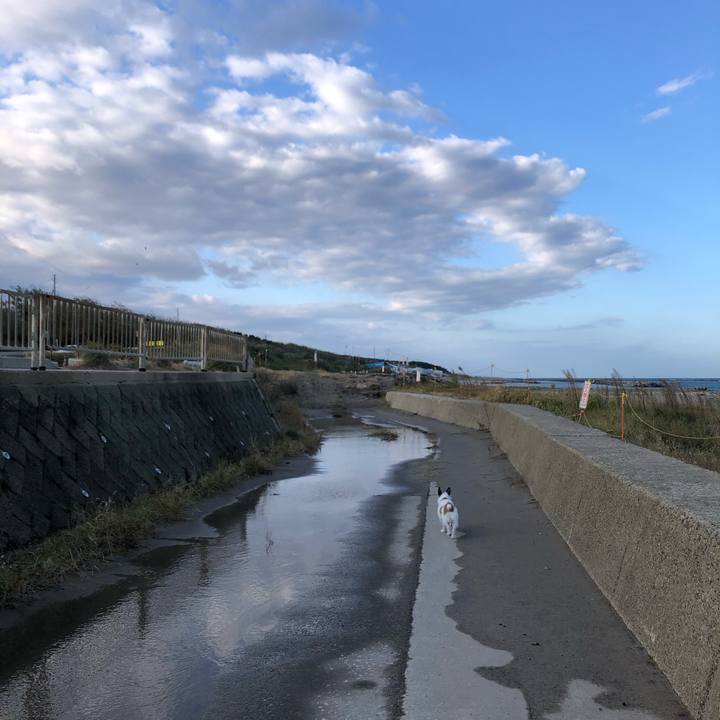 9fcec61c 8c29 473a ac9c 11f49c7fb95b 1603928934865