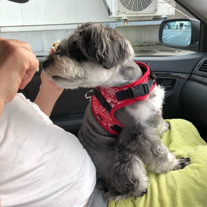 9fcee1b9 1fc9 4e77 b0d8 8df82ff4951b 1532821454709