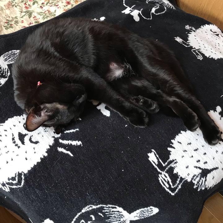 9fcee654 14d4 4ab6 bab1 ee134114de7f 1590113622960