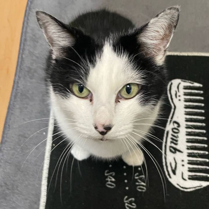 9fcf0849 632a 4a03 8905 db763907af01 1735160711711