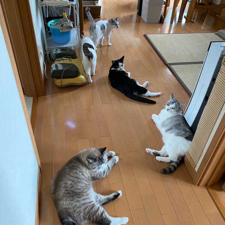 9fcf1094 5144 4ffc b1f0 6ebeb84d60e4 1628425999806