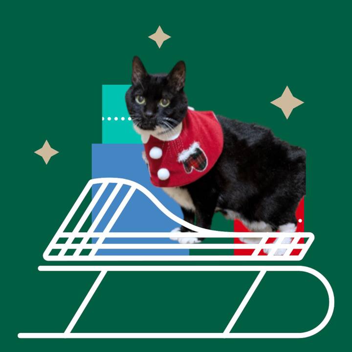 9fcf1741 3739 47d2 b06f b21e0f355766 1766571748187