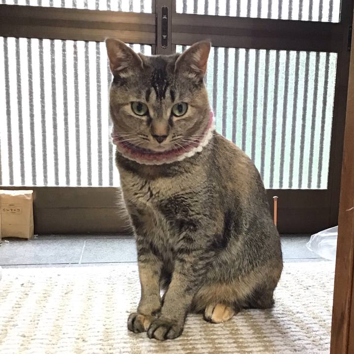 9fcf23b2 ade0 4e0c 8010 4a2058afc561 1622089498616