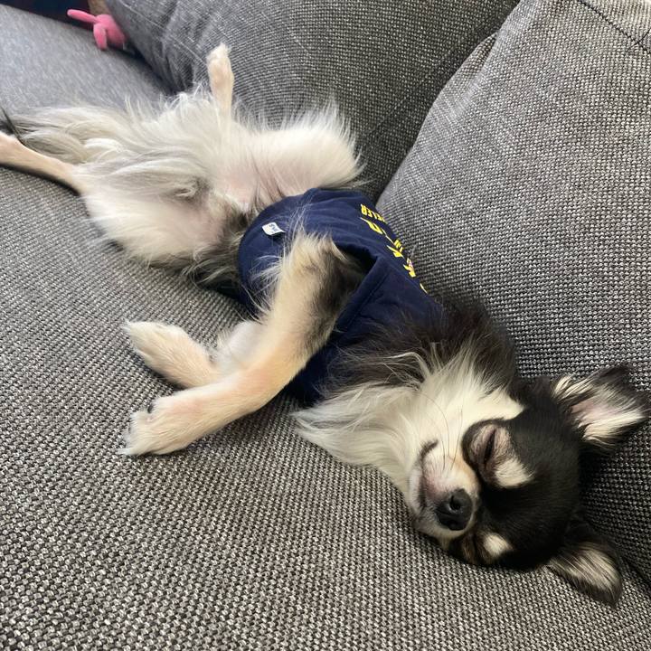 9fcf410b feef 4d8a 977f 00572bebf6d2 1613192276857