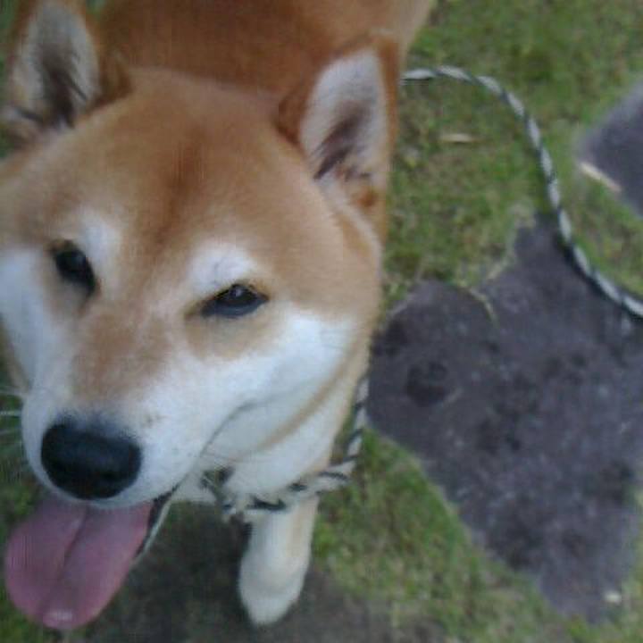 9fcf636d 8c22 4e61 9a96 905dd59e9690 1558784972220