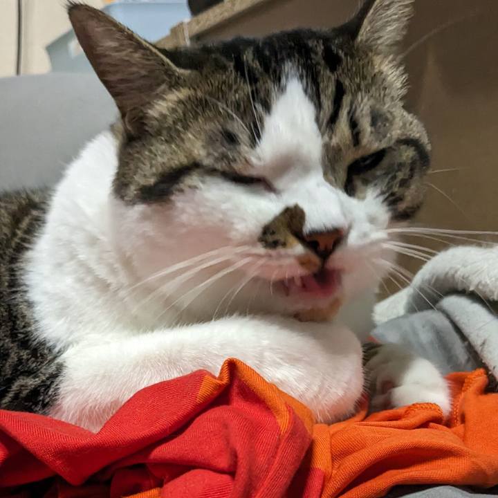 9fcf64c6 df9f 4c1a 922d 31ac41401023 1693026529472