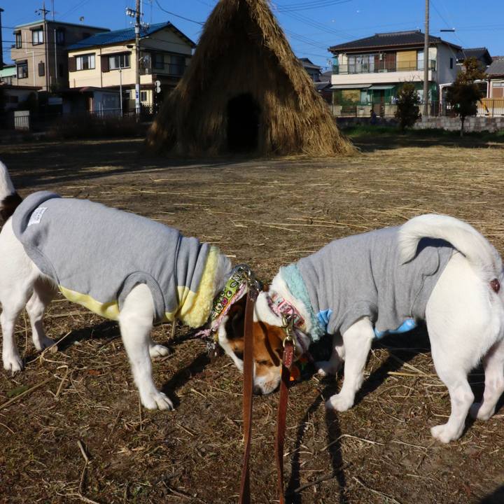 9fcf7936 ca2d 4cfb 8c27 7a4f7c3e3af9 1548206103310