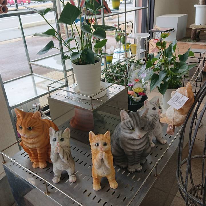 9fcf7a94 9a07 48f5 ba4f 882628daadef 1606715012906