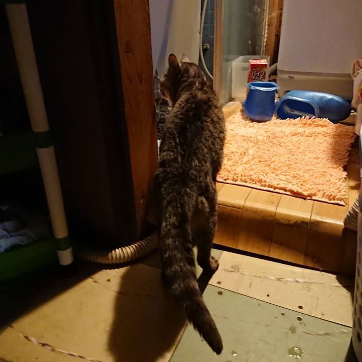 9fcf87a2 7b9a 4cec ab8e fb3d77f737f2 1590834180828