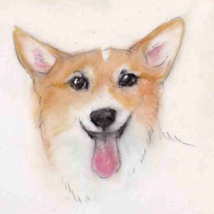 9fcfa17b ada4 4565 b5b6 6a57fe612e21 1631106319857