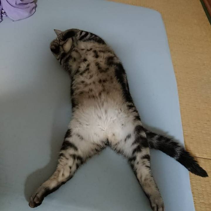 9fcfb3bc bd3f 4d5e b52d c3904c4e4a77 1569853718648